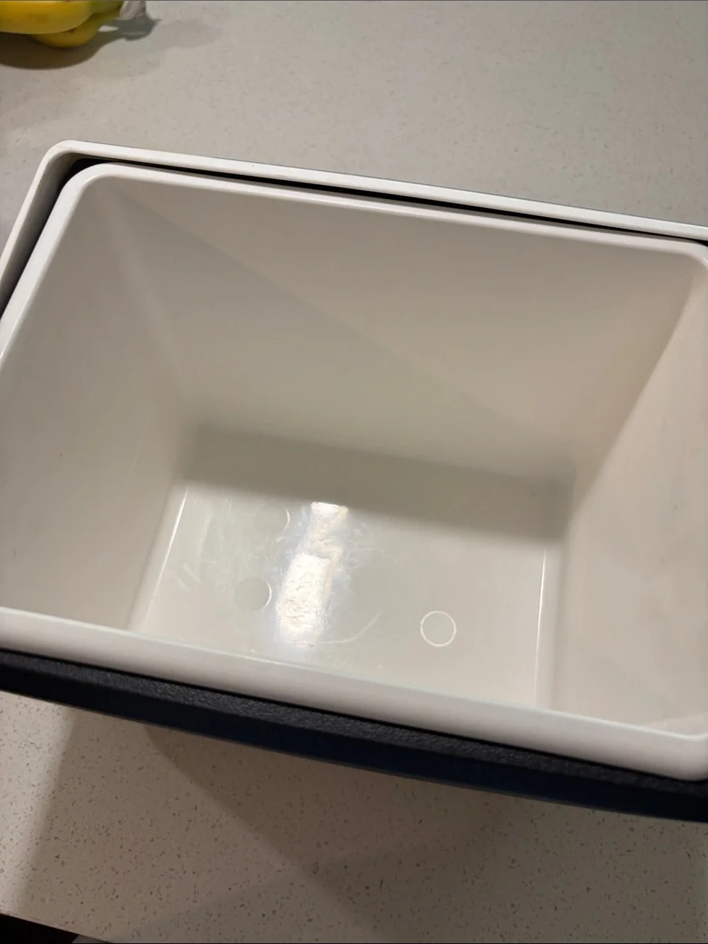 Igloo Black Cooler with Tropical Pineapple Artwork